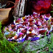 Aniversário de Roseli Schnaider