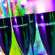 Aniversário de Roseli Schnaider